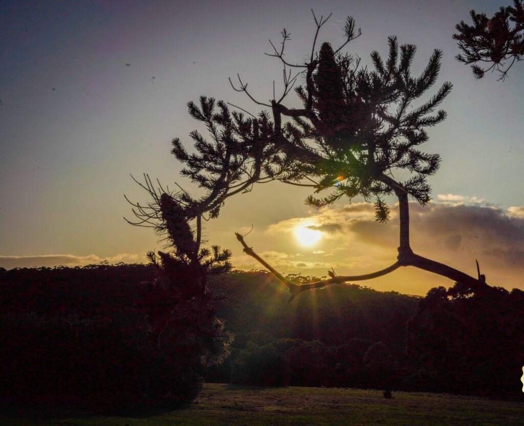 new year new beginnings