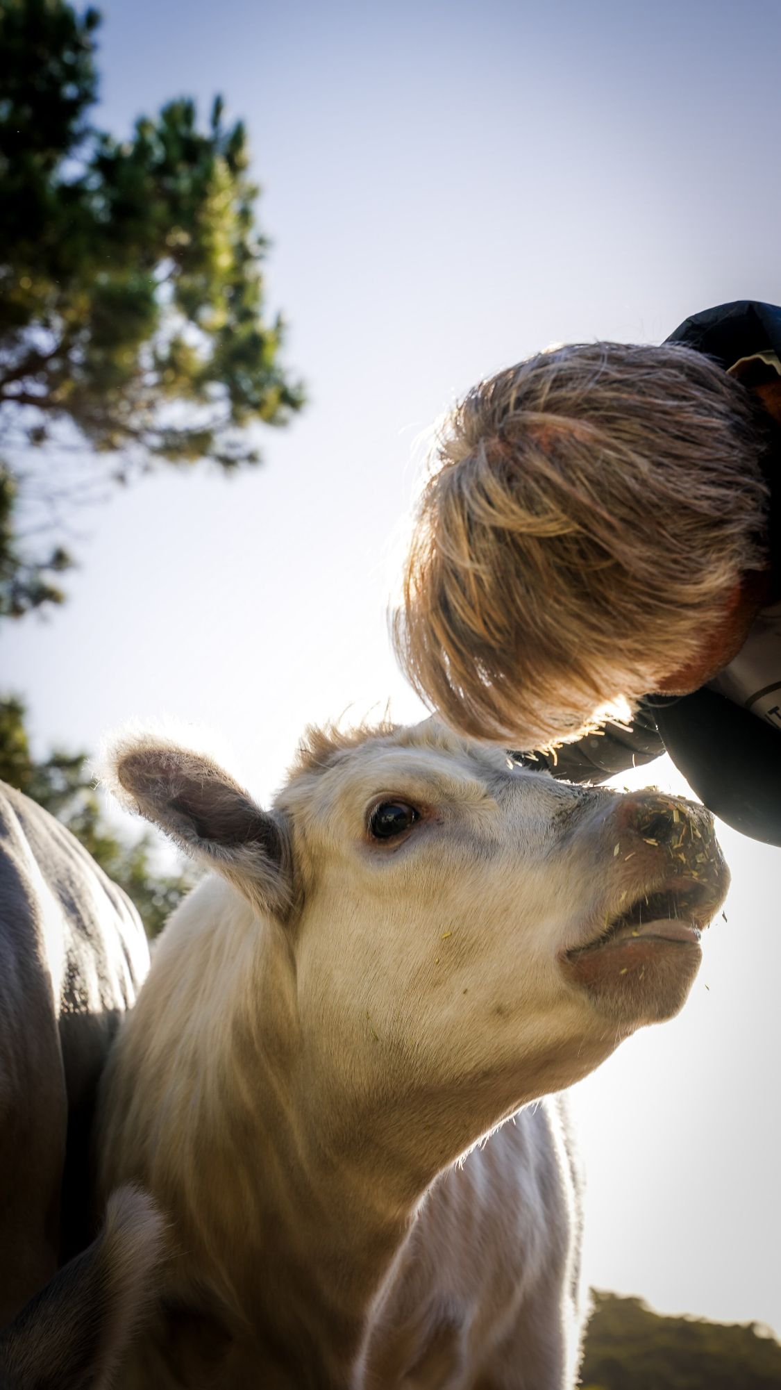 new year new beginnings